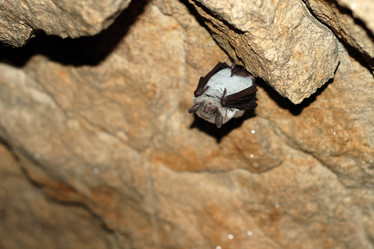 Similar image 141624