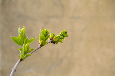 Similar image 141674