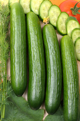 Similar image 141694