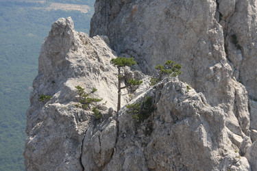 Similar image 141712