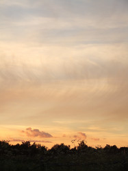 Similar image 141725