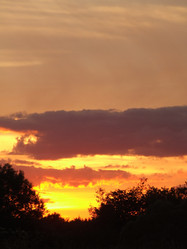 Similar image 141726