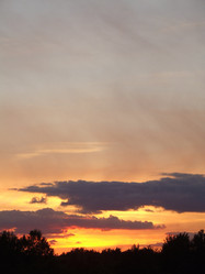 Similar image 141731