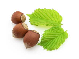 Similar image 141746