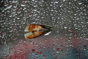 Similar image 141760