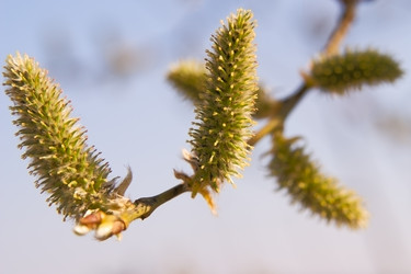 Similar image 141774