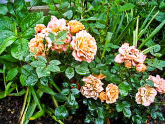 Similar image 141791