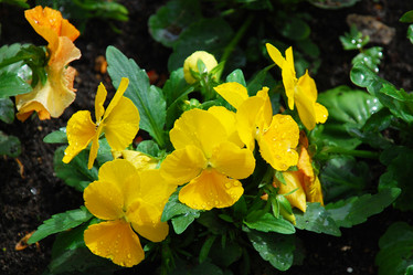 Similar image 141810