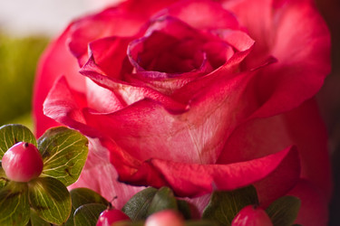 Similar image 141811