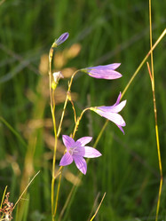 Similar image 141821