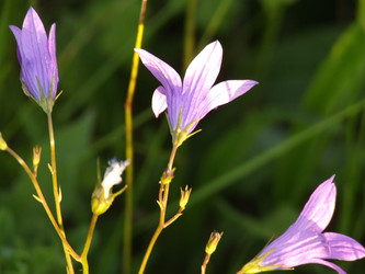 Similar image 141823