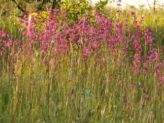 Similar image 141827