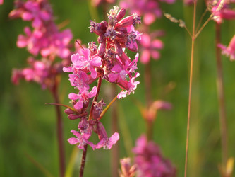 Similar image 141836