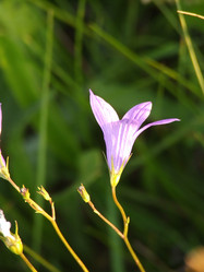 Similar image 141838