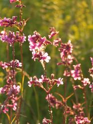 Similar image 141839