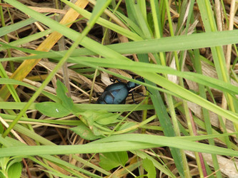 Similar image 141840