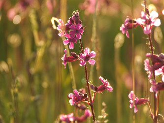 Similar image 141844