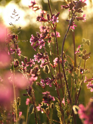 Similar image 141845