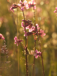 Similar image 141846