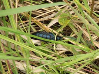 Similar image 141847