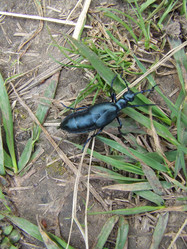 Similar image 141849