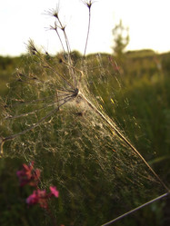 Similar image 141850