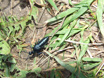 Similar image 141851