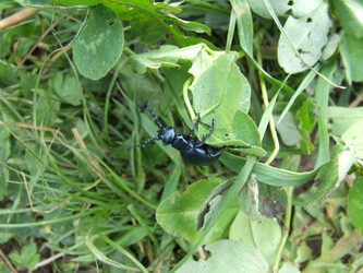 Similar image 141853