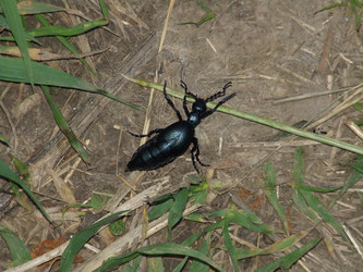 Similar image 141855