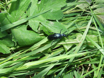 Similar image 141858