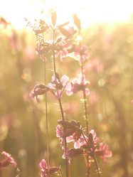 Similar image 141860