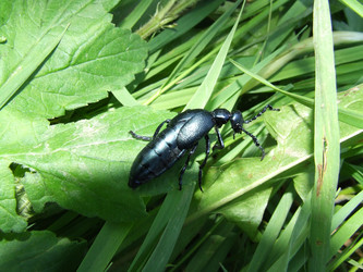 Similar image 141866