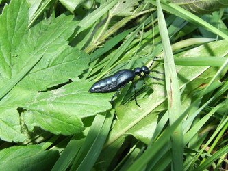 Similar image 141867