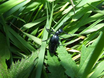 Similar image 141870