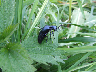 Similar image 141871