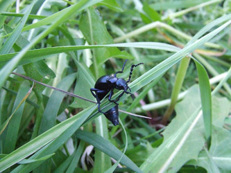 Similar image 141872