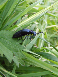 Similar image 141874