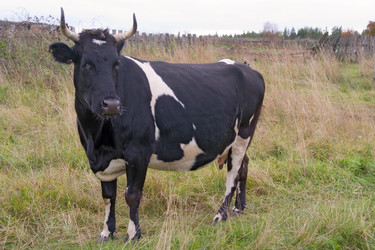 Similar image 141886