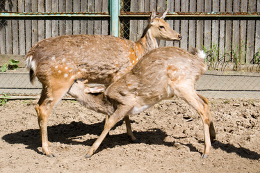 Similar image 141913