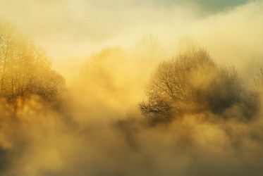 Similar image 141915