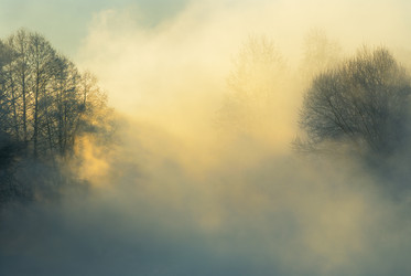 Similar image 141916