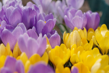 Similar image 141919