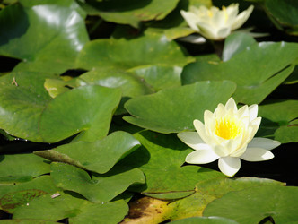 Similar image 141920