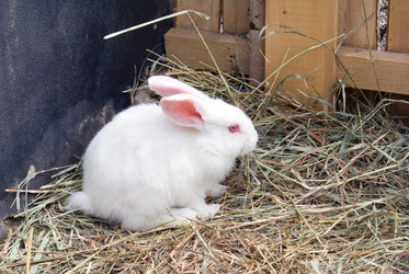 Similar image 141940