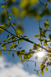 Similar image 141969