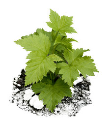 Similar image 141971