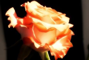 Similar image 141980