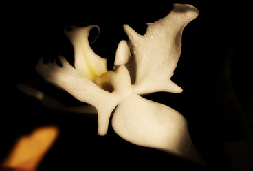 Similar image 141982