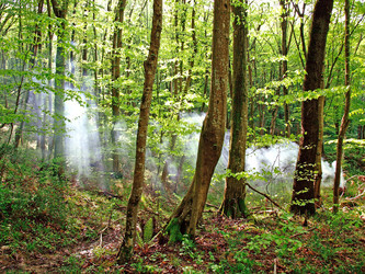 Similar image 141998