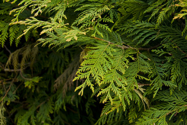 Similar image 142000